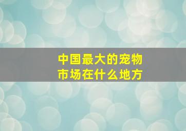 中国最大的宠物市场在什么地方