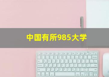 中国有所985大学