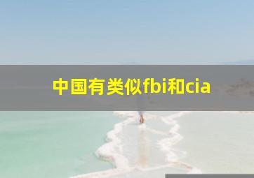 中国有类似fbi和cia