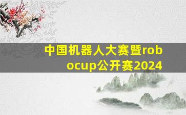 中国机器人大赛暨robocup公开赛2024