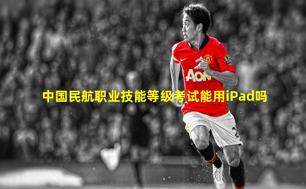 中国民航职业技能等级考试能用iPad吗