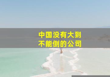 中国没有大到不能倒的公司