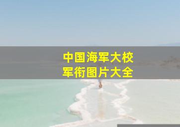 中国海军大校军衔图片大全