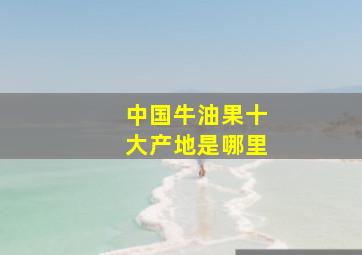 中国牛油果十大产地是哪里