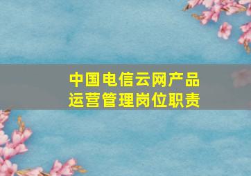 中国电信云网产品运营管理岗位职责