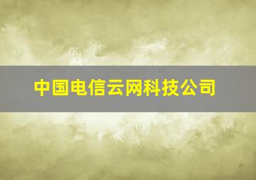 中国电信云网科技公司