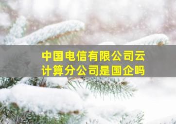 中国电信有限公司云计算分公司是国企吗