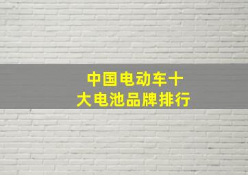 中国电动车十大电池品牌排行