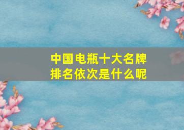 中国电瓶十大名牌排名依次是什么呢