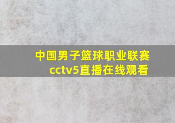 中国男子篮球职业联赛cctv5直播在线观看