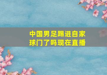 中国男足踢进自家球门了吗现在直播