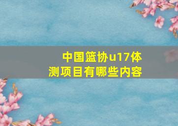 中国篮协u17体测项目有哪些内容