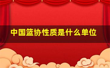 中国篮协性质是什么单位