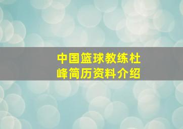 中国篮球教练杜峰简历资料介绍