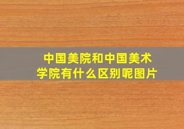 中国美院和中国美术学院有什么区别呢图片