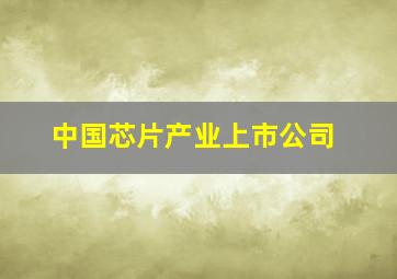 中国芯片产业上市公司