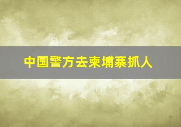 中国警方去柬埔寨抓人