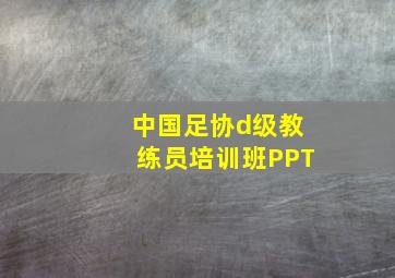 中国足协d级教练员培训班PPT