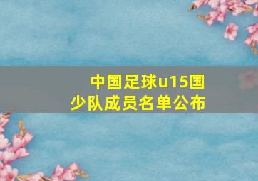 中国足球u15国少队成员名单公布