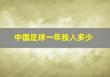 中国足球一年投入多少