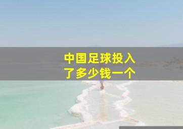 中国足球投入了多少钱一个