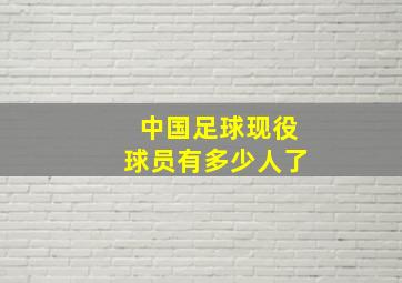 中国足球现役球员有多少人了