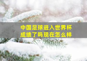 中国足球进入世界杯成绩了吗现在怎么样