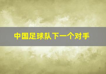 中国足球队下一个对手