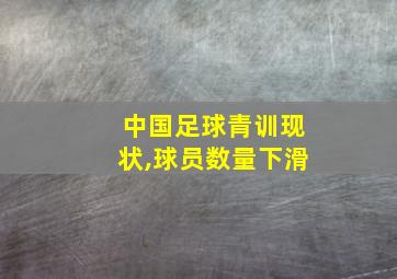 中国足球青训现状,球员数量下滑