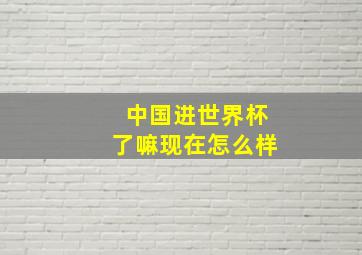 中国进世界杯了嘛现在怎么样