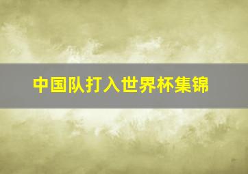 中国队打入世界杯集锦