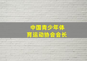 中国青少年体育运动协会会长