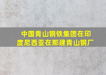 中国青山钢铁集团在印度尼西亚在那建青山钢厂