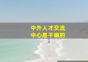 中外人才交流中心是干嘛的