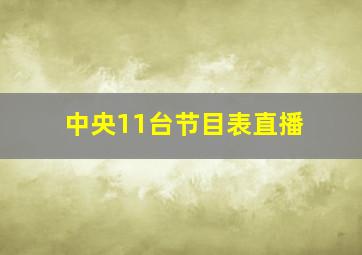 中央11台节目表直播