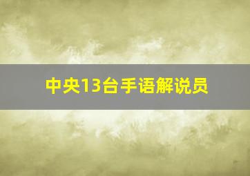 中央13台手语解说员