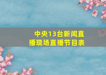 中央13台新闻直播现场直播节目表