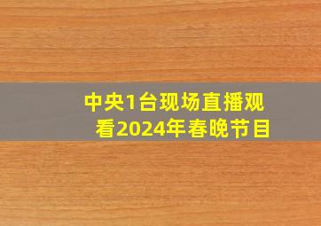 中央1台现场直播观看2024年春晚节目