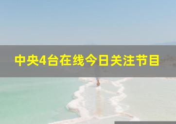 中央4台在线今日关注节目