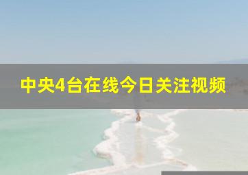 中央4台在线今日关注视频