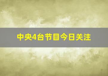 中央4台节目今日关注