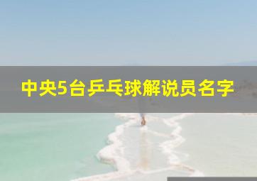 中央5台乒乓球解说员名字