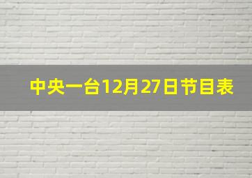 中央一台12月27日节目表