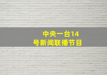 中央一台14号新闻联播节目