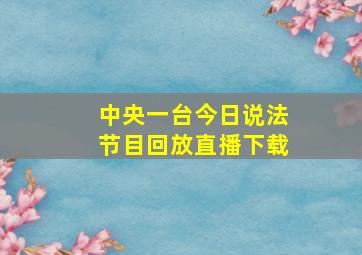 中央一台今日说法节目回放直播下载