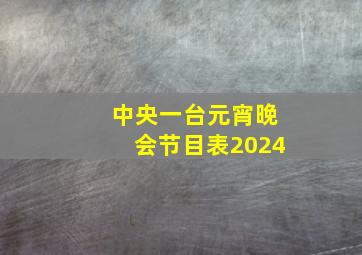 中央一台元宵晚会节目表2024