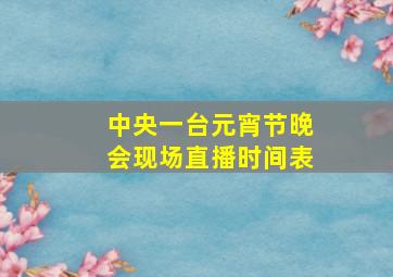 中央一台元宵节晚会现场直播时间表