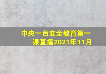 中央一台安全教育第一课直播2021年11月