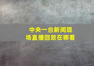 中央一台新闻现场直播回放在哪看