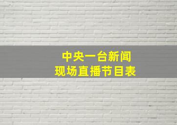 中央一台新闻现场直播节目表